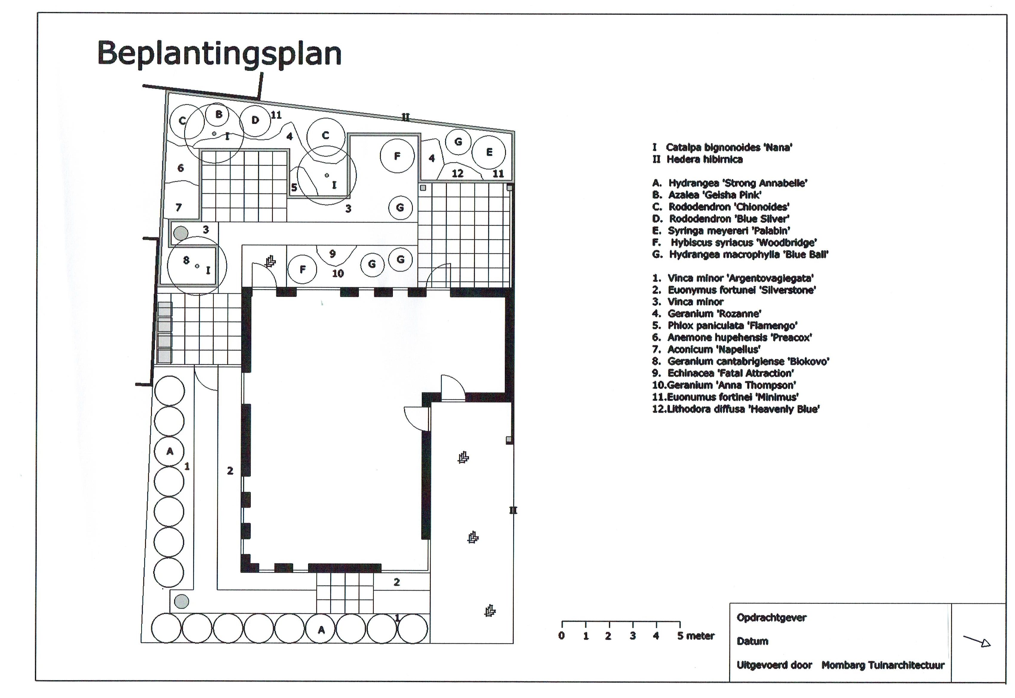 Moderne Tuin 2 Beplantingsplan